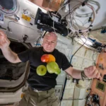 Banheiro de astronauta: como funciona o WC no Espaço