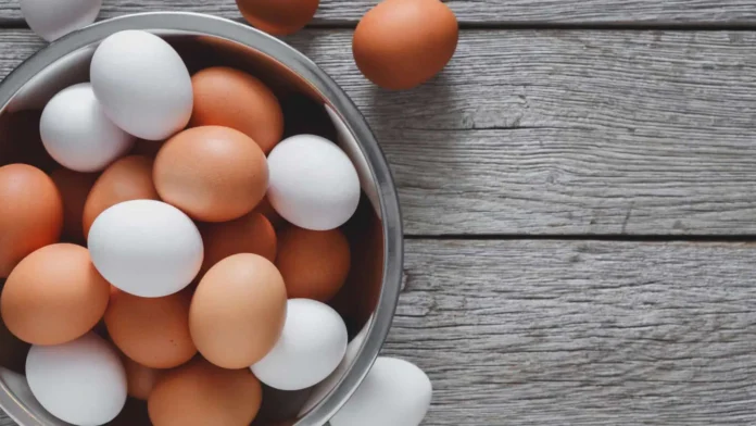 Ovos – Benefícios do alimento e formas de prepara-lo